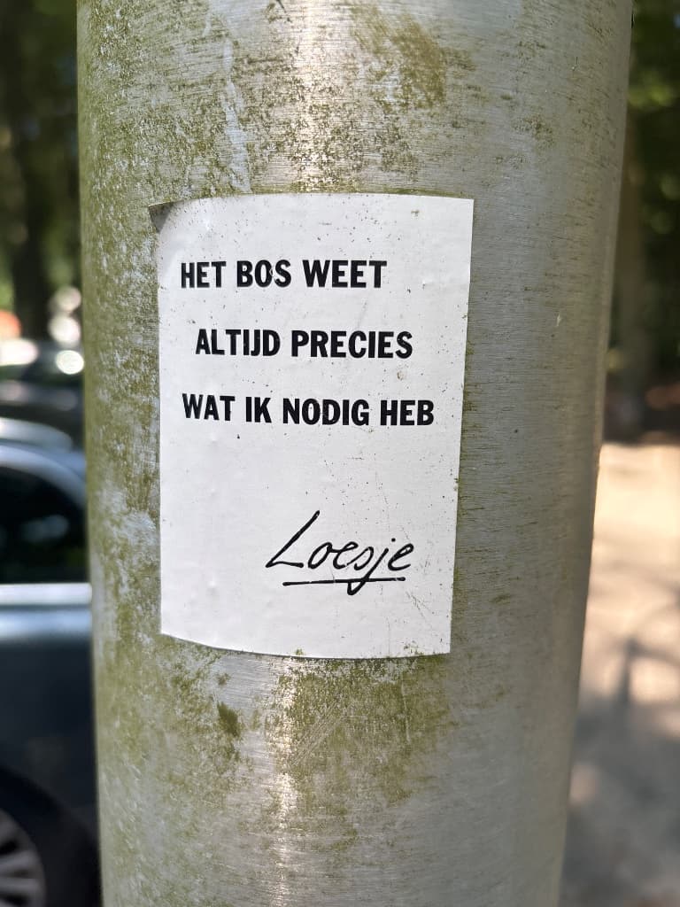 Het bos weet altijd precies wat ik nodig heb, Loesje sticker in Oosterbeek