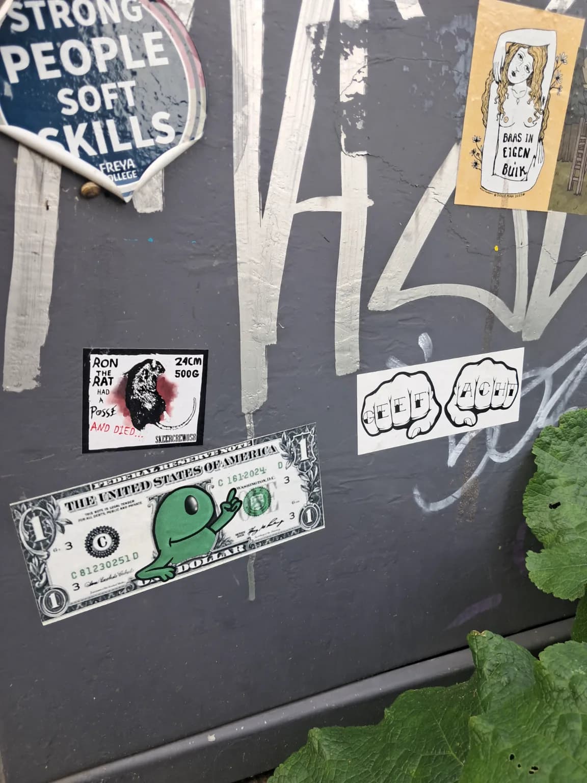 Mannetje dollar bill